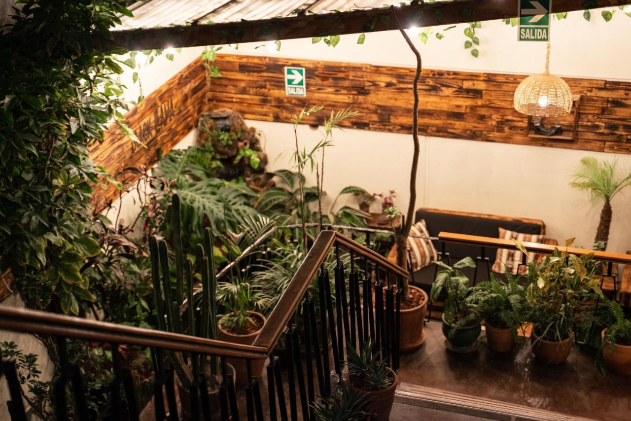 Black Llama Hostel Miraflores Ліма Екстер'єр фото