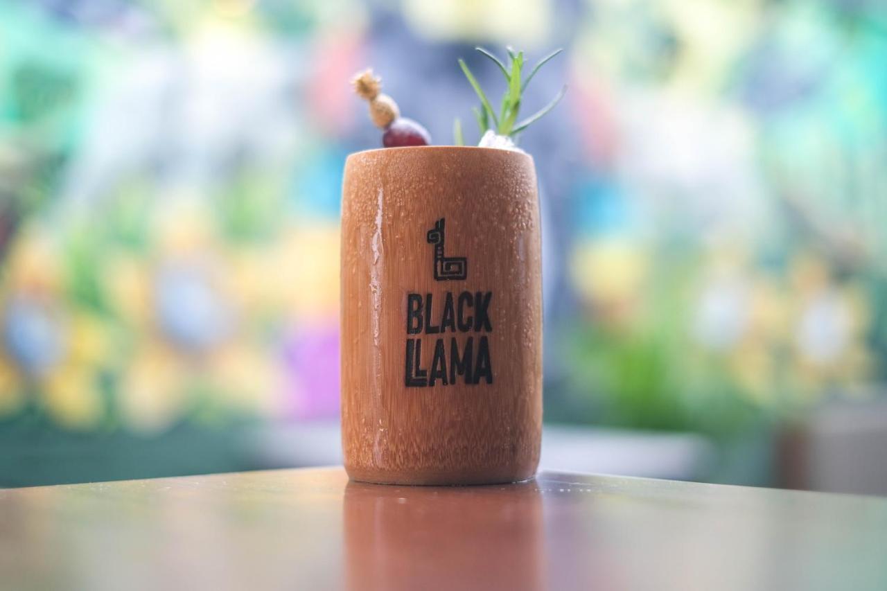 Black Llama Hostel Miraflores Ліма Екстер'єр фото